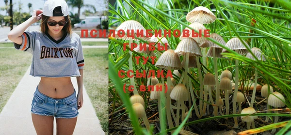 дживик Беломорск
