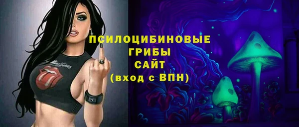 дживик Беломорск