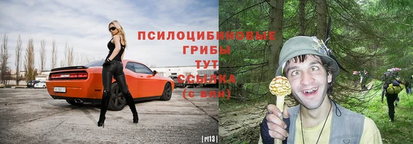 дживик Беломорск
