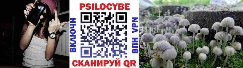 Галлюциногенные грибы Magic Shrooms  Жуковка 